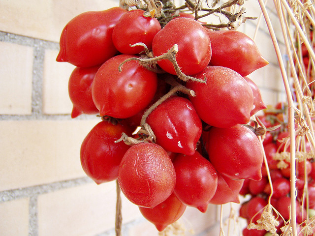 pomodorini
